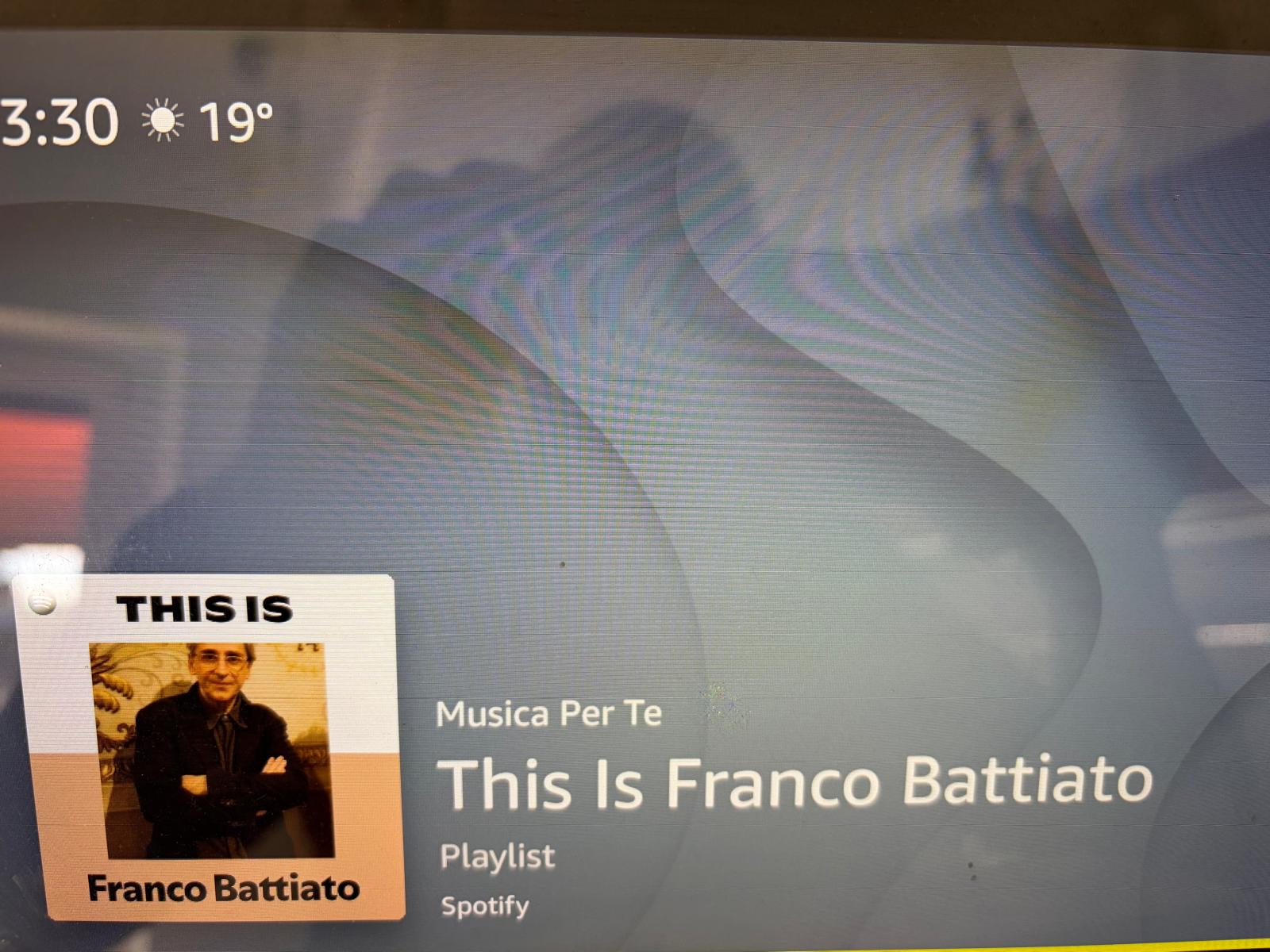 Il mio Echo Show da 10' ha il display macchiato