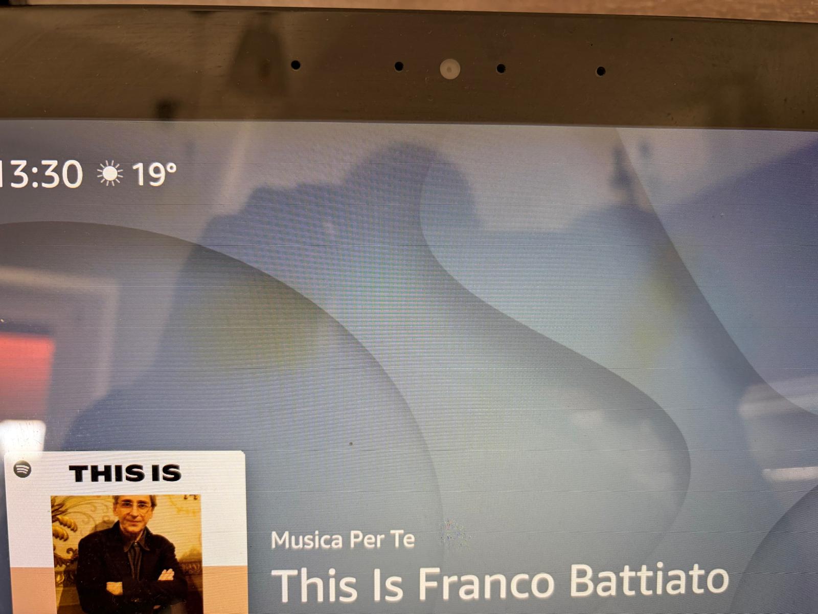 Il mio Echo Show da 10' ha il display macchiato